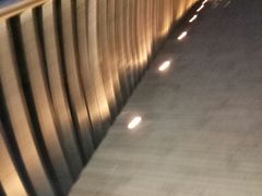 -南翔镇银翔湖公园