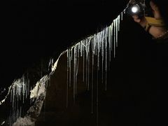 -怀托摩萤火虫洞