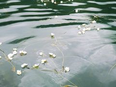 -丽江泸沽湖景区