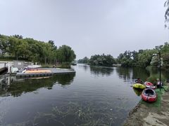 -新江湾城公园