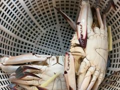 -三个渔夫·蒸汽海鲜(小白楼店)