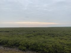 -北海金海湾红树林生态旅游区