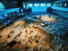 -自贡恐龙博物馆