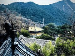 -潭柘寺景区