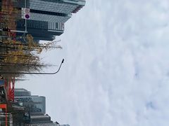 -合景·悠方(成都店)