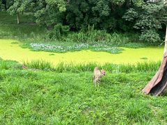 -上海野生动物园