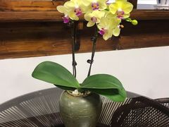 -麦田工坊(月湖店)