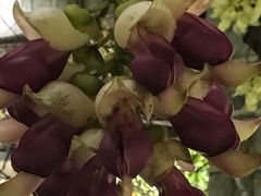 -华南国家植物园-售票处