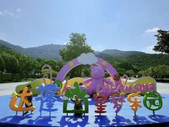 -达蓬山星梦乐园