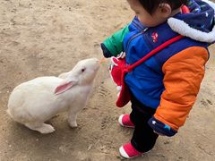 -前小桔亲子创意农场·草莓采摘·露营烧烤