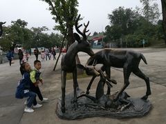 -西安秦岭野生动物园