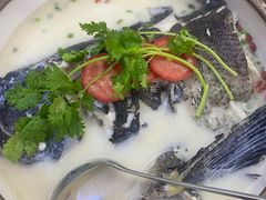 -全乐鱼馆·淳牌有机鱼直营店