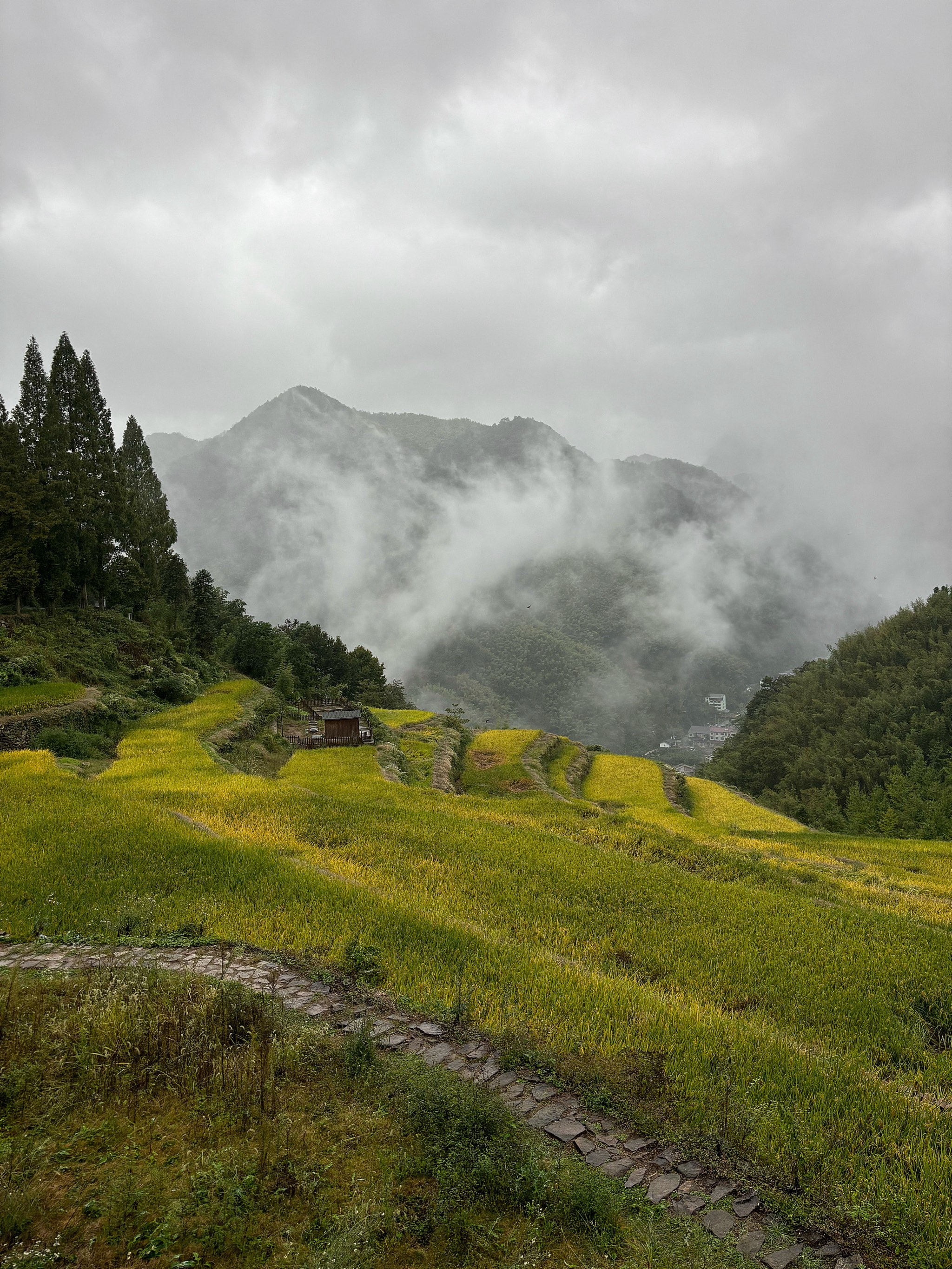 空山新雨后意境图图片