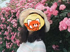 -习家池