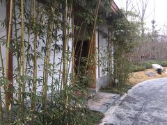 -思念果岭悦温泉