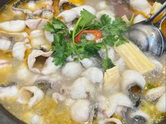 -大鼎石锅鱼(春江里店)