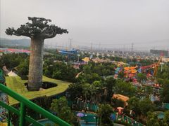 -苏州乐园森林水世界