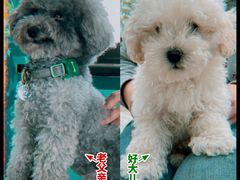 -默迹咖啡馆