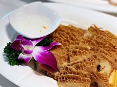 卤水金钱肚-潮人姐妹轩(海宁路店)