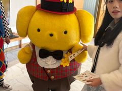 -安吉Hello Kitty乐园
