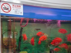 -雅悦齿科(顾村公园店)