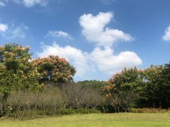-宝界山林公园