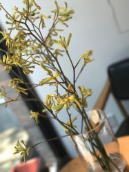 点击看大图 -曼都发型