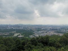 -火炉山森林公园