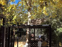 -春晖园度假酒店温泉