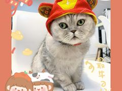 -Oasis绿洲银饰珍珠手作diy(壹方城店)