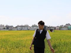 -才村湿地公园