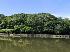 -广州市帽峰山景区