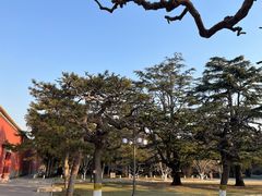 -北京市劳动人民文化宫(太庙)