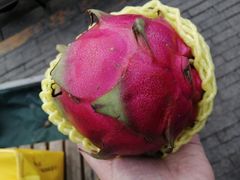 火龙果-牛奶便利(东四店)
