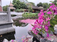 -顺峰山公园