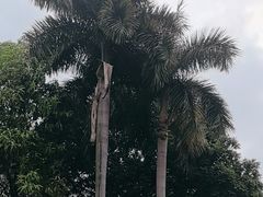 -广州市白云山风景名胜区