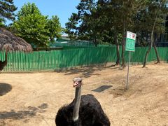 -西霞口神雕山野生动物世界