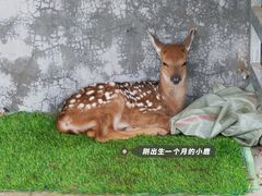 -野鸭湖国家湿地公园