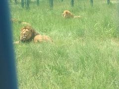 -鄂尔多斯野生动物园