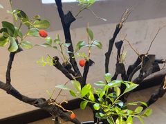 -小城故事·地道宁波味(月湖盛园店)