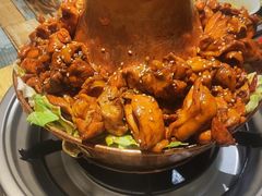 -刘记光大火锅鸡(北行店)