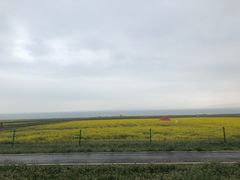 -青海湖国家重点风景名胜区