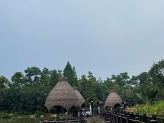 -美的鹭湖森林度假区