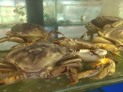 -兄弟爬爬虾(北京路店)