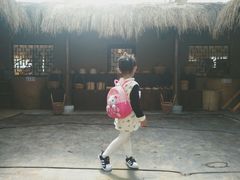 -上海都市菜园