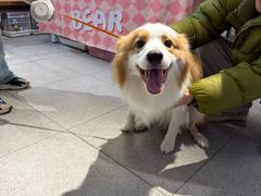 -FAELING PETS美天灵宠物(富力广场店)