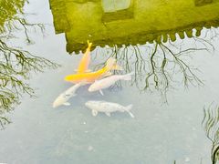 -三里河公园