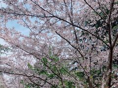 -堤角公园