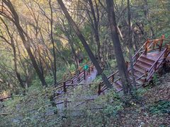 -大岭沟猕猴桃谷风景区