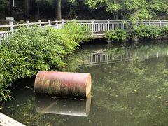 -山王坪喀斯特国家生态公园